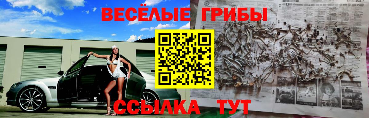Псилоцибиновые грибы Psilocybine cubensis  Вход с VPN  Рыбинск 