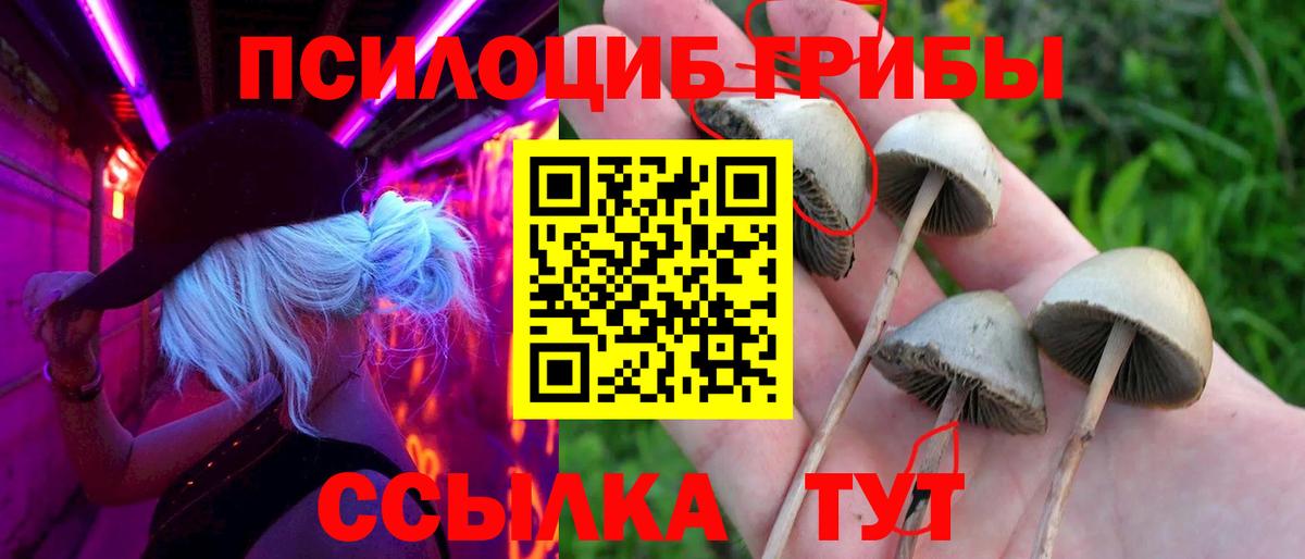 Галлюциногенные грибы Magic Shrooms Рыбинск